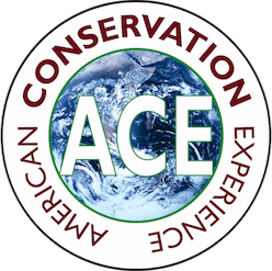 ACE Conservation Corps AmeriCorps Member – Asheville, NC – May 18th