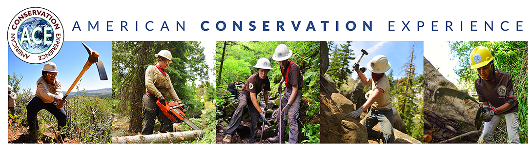 Conservation Corps Crew Member – Eastern Crew – August 8th