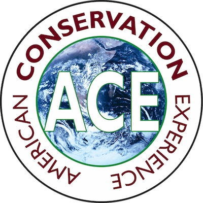 Conservation Crew Member