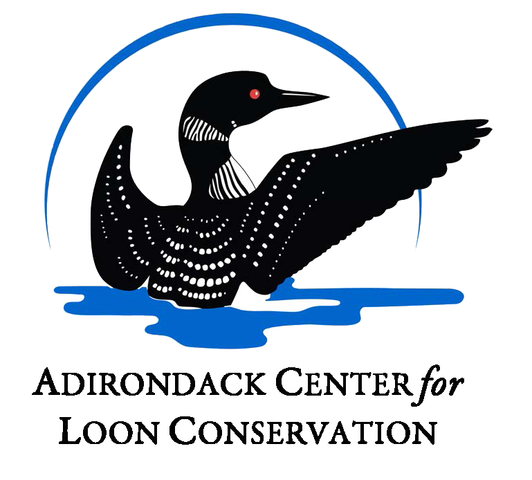 Director of Science and Conservation